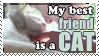 Stamp with a white cat that reads 'My best friend is a cat'