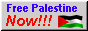 Site button that has a waving flag of Palestine and text that reads 'Free Palestine, Now!!!'