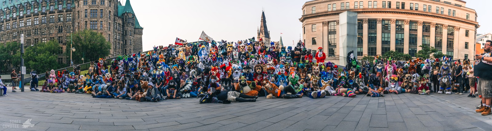 A large group of fursuiters