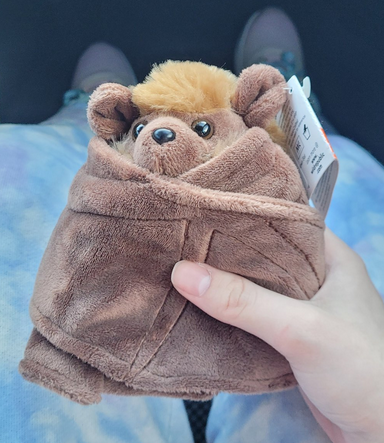 A plush little brown bat with it's wings curled up around itself