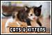 Cats & Kittens